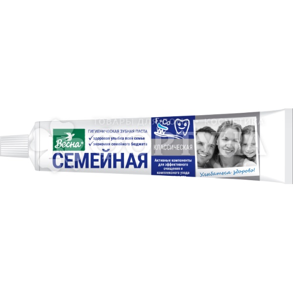 Зубная паста Весна 90 г Семейная без футляра