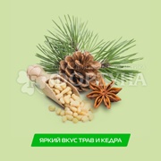 Ополаскиватель для полости рта Biomed 250 мл Well Gum