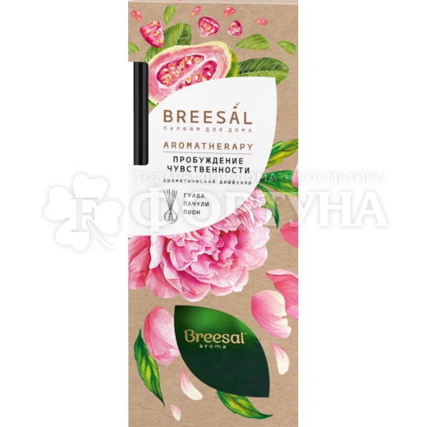 Освежитель воздуха Breesal Aromatherapy 70 мл Пробуждение чувств