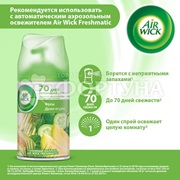 Освежитель воздуха Airwick Pure 250 мл Дыня-огурец запасной блок