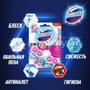 Чистящее средство Domestos Power 5 55 г Ледяная магнолия