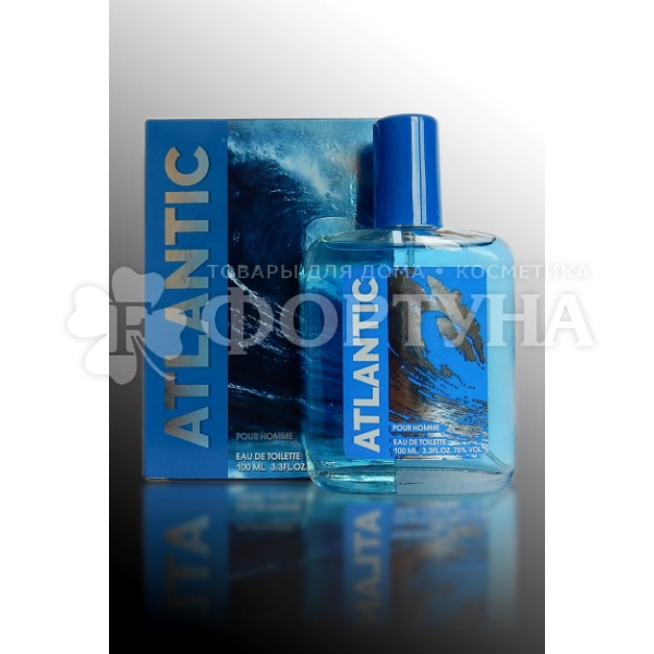 Wildberries Интернет Магазин Каталог Ocean Pour Homme