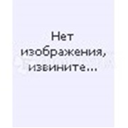 Салфетки влажные Smart 50 шт Animals