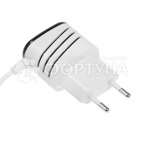 Cетевое зарядное устройство Luazon 2 USB, micro USB