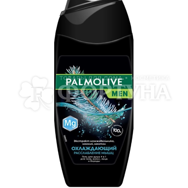 Гель для душа Palmolive Men 250 мл 4в1 охлаждающий