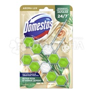 Чистящее средство Domestos Power 5 2*50 г Зеленый чай