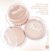 Пудра Charme Mineral 01