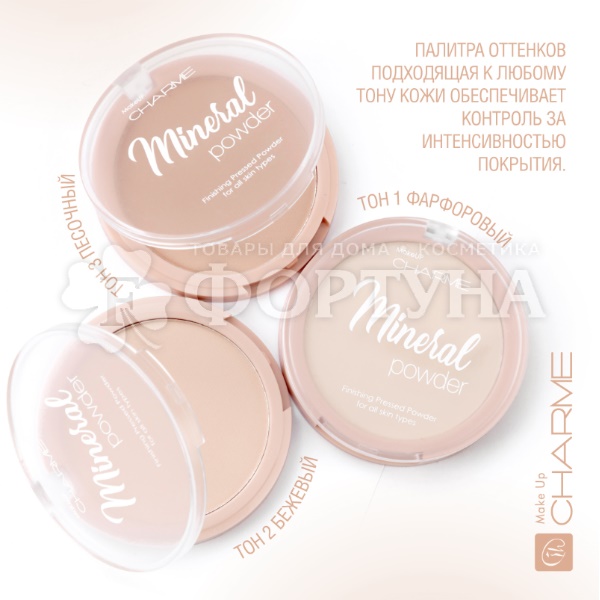 Пудра Charme Mineral 01