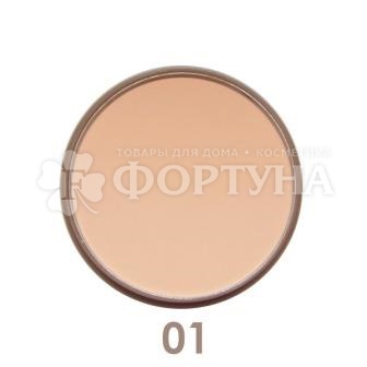 Пудра Parisa Mineral Matt 01