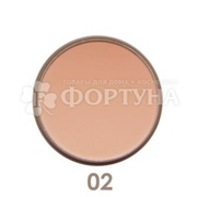Пудра Parisa Mineral Matt 02