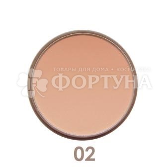 Пудра Parisa Mineral Matt 02