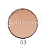 Пудра Parisa Mineral Matt 03