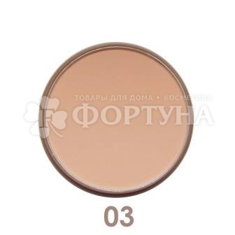 Пудра Parisa Mineral Matt 03
