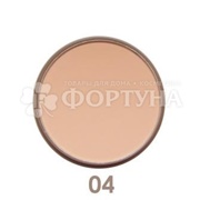 Пудра Parisa Mineral Matt 04