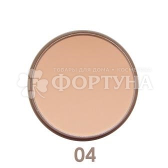 Пудра Parisa Mineral Matt 04