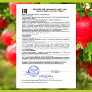 Шампунь Palmolive 450 мл Блеск и забота. Гранат