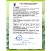 Шампунь Palmolive Men 450 мл Против перхоти. Шалфей