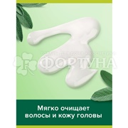 Шампунь Palmolive Men 450 мл Против перхоти. Шалфей