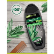 Шампунь Palmolive Men 450 мл Против перхоти. Шалфей