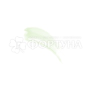 Масло для губ Divage Dewy Lip Oil с ароматом арбуза