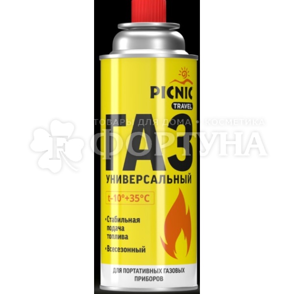 Газ в баллоне 220 г Picnic