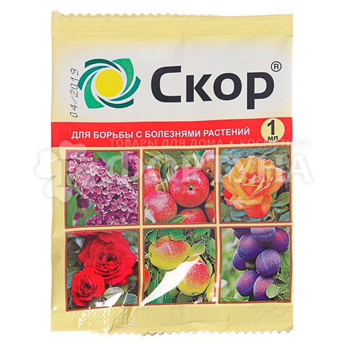 Средство для борьбы с болезнями Скор 1 мл