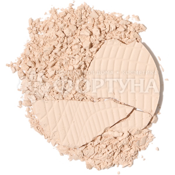 Пудра Influence Beauty Skinvisible carcass 01