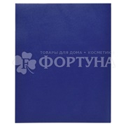 Тетрадь А5 48 листов Маяк клетка