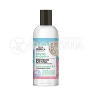 Тоник Natura Siberica Taiga Siberica 170 мл Био 5в1