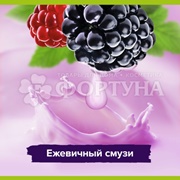 Гель для душа Palmolive 500 мл СПА Ежевичный мусс