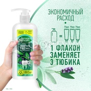 Зубная паста Лесной бальзам 290 г TOTAL Морская соль и травы