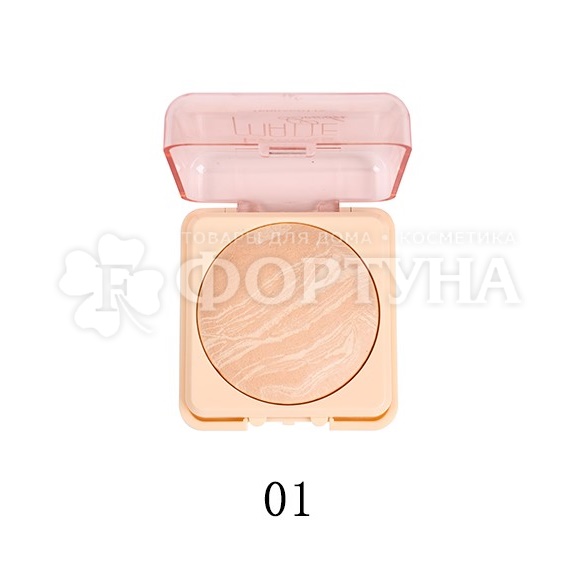 Пудра Farres Matte Terracotta 01