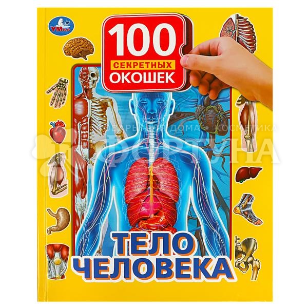 Книга Умка Тело человека 100 секретных окошек