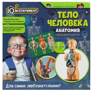 Игра Тело человека Внутренние органы