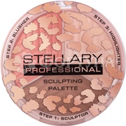 Палетка Stellary для лица Face sculptor 01