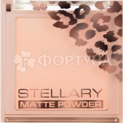Пудра Stellary Soft matte powder 03