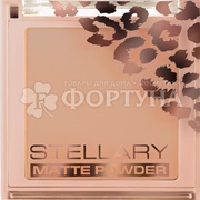 Пудра Stellary Soft matte powder 04