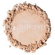 Пудра Parisa Base 4U 02