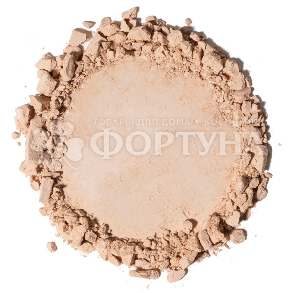 Пудра Parisa Base 4U 02