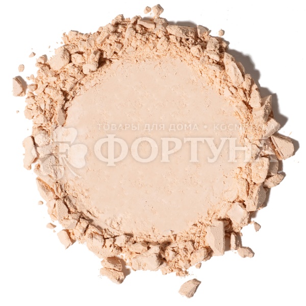 Пудра Parisa Base 4U 04