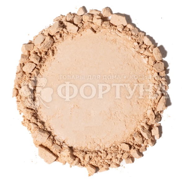 Пудра Parisa Base 4U 05