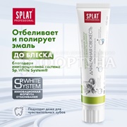 Зубная паста SPLAT Professional 100 мл Длительная Свежесть