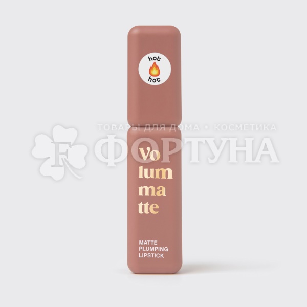 Губная помада Vivienne Sabo жидкая матовая Volummatte 02