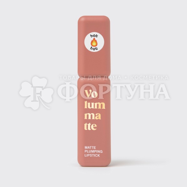 Губная помада Vivienne Sabo жидкая матовая Volummatte 04