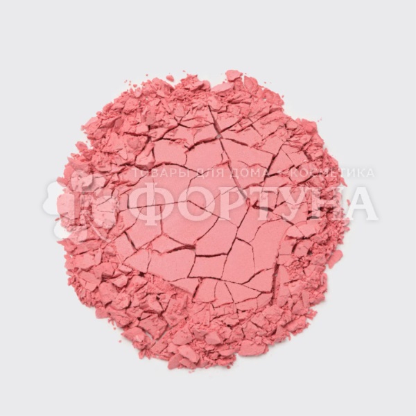 Румяна Vivienne Sabo Blush visage mat Macaron 02