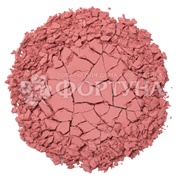 Румяна Vivienne Sabo Blush visage mat Macaron 03