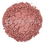 Румяна Vivienne Sabo Blush visage mat Macaron 04