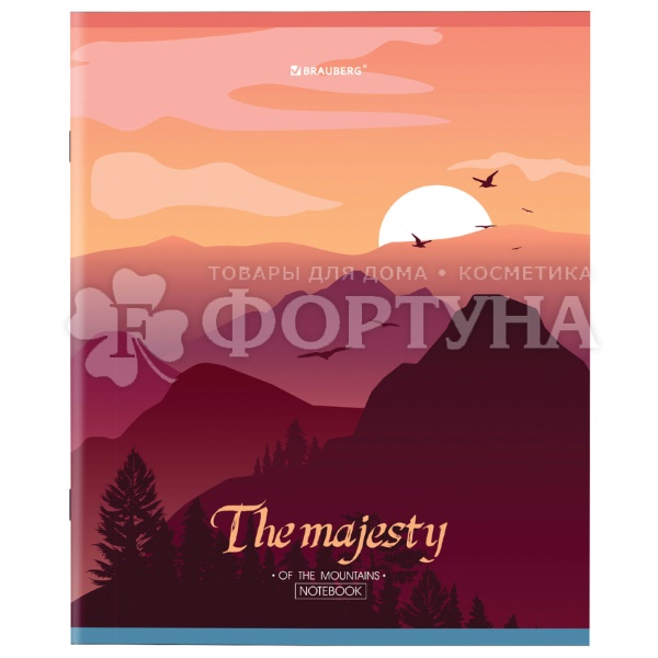 Тетрадь Brauberg А5 48 л клетка Микс