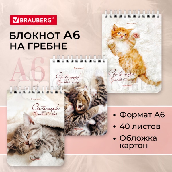 Блокнот Brauberg А6 40 л клетка Котята