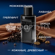 Парфюмерная вода Banderas 50 мл The Icon Perfume